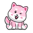 Baby Pink Doge