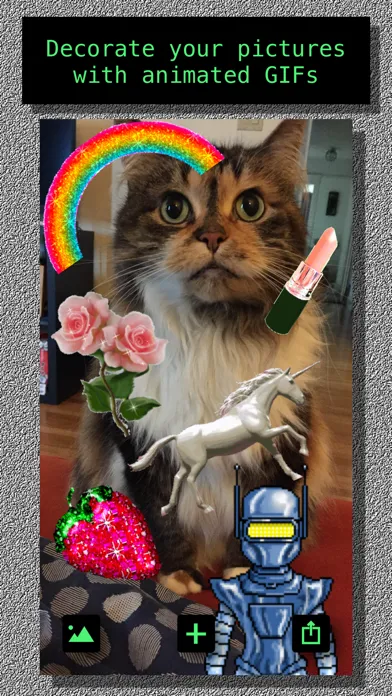صور GIFscapes