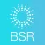BSR 2017