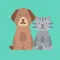 Pets Age Calculator