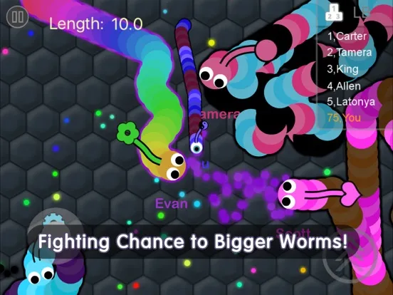 Capturas de tela do Worm Muncher iPad 