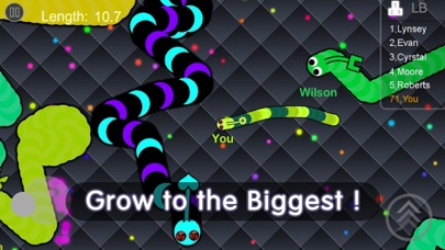 Worm Muncher Ekran Görüntüleri