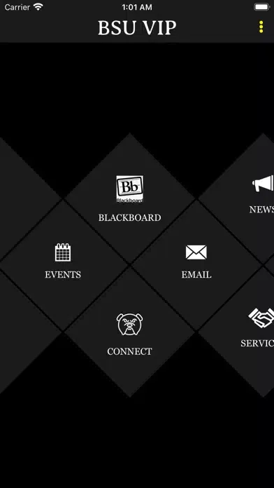 BSU VIP Screenshots