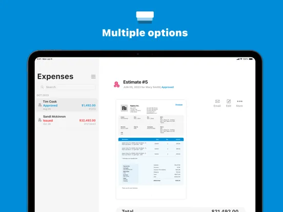 Tiny Invoice: Receipt Maker iPad  سکرین شاٹس