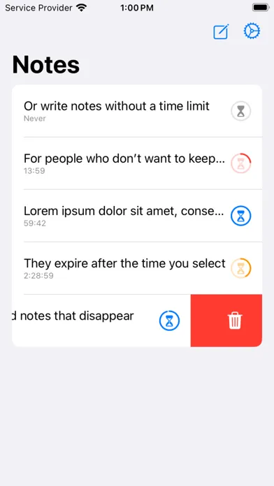 Скриншоты Disappearing Notes