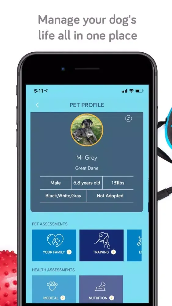 Bubby Dog Academy স্ক্রিনশট