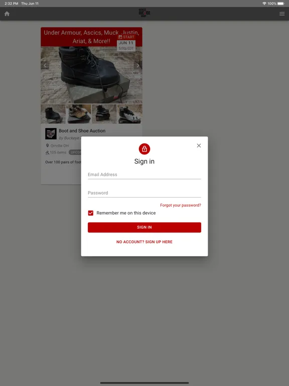 Screenshot di Buckeye Auction Group iPad 