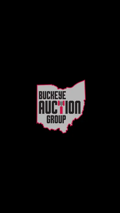 Screenshot di Buckeye Auction Group