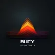 Bucy Digital