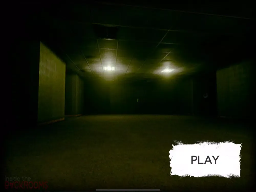 Scary Cat Inside The Backrooms iPad  Screenshots