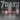7 Days