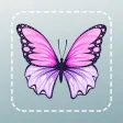 Bug Identifier Picture Insect Bug Identifier Picture Insect
