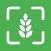 AI Gluten-Free Checker