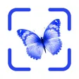 AI Bug & Insect Identifier AI Bug & Insect Identifier