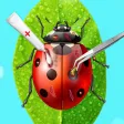 Bugs & Insects Hospital Care