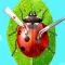 Bugs & Insects Hospital Care