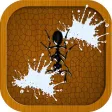 Bugs Smasher Bugs Smasher