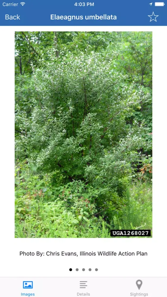 EDDMapS Alberta Screenshots