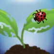 EDDMapS Biocontrol EDDMapS Biocontrol