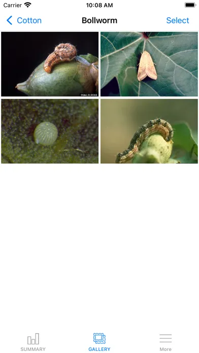 صور MyIPM Row Crops
