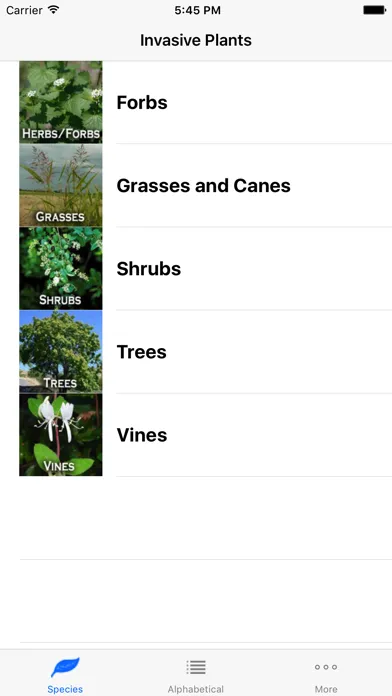 تصاویر Invasives in Southern Forests