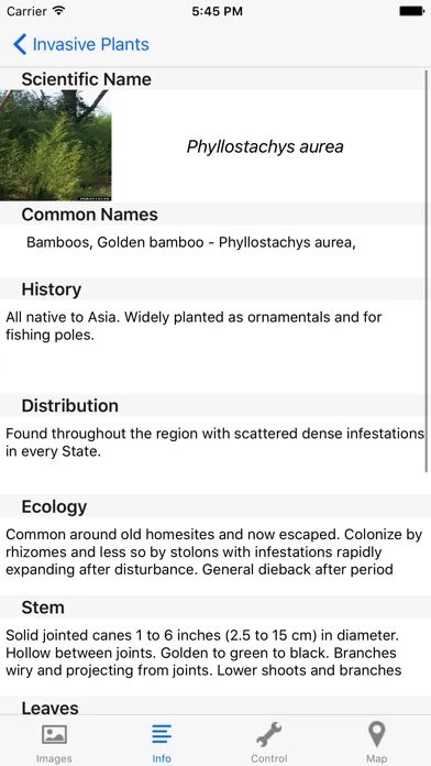 تصاویر Invasives in Southern Forests