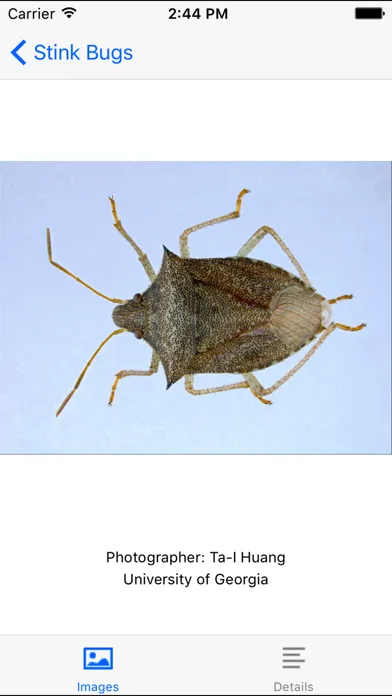 SE Agricultural Stink Bug ID स्क्रीनशॉट