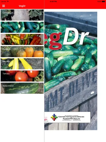 ภาพหน้าจอของ VegDr iPad 