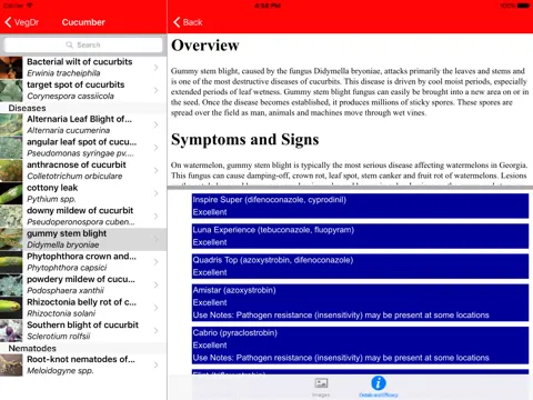 ภาพหน้าจอของ VegDr iPad 