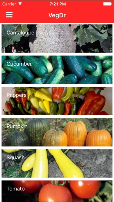 ภาพหน้าจอของ VegDr