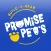 Promise Pets by Build-A-Bear: A Virtual Pet Game