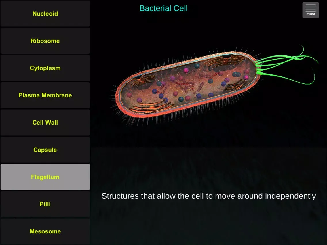 Capturas de tela do Cell Biology Tutor iPad 