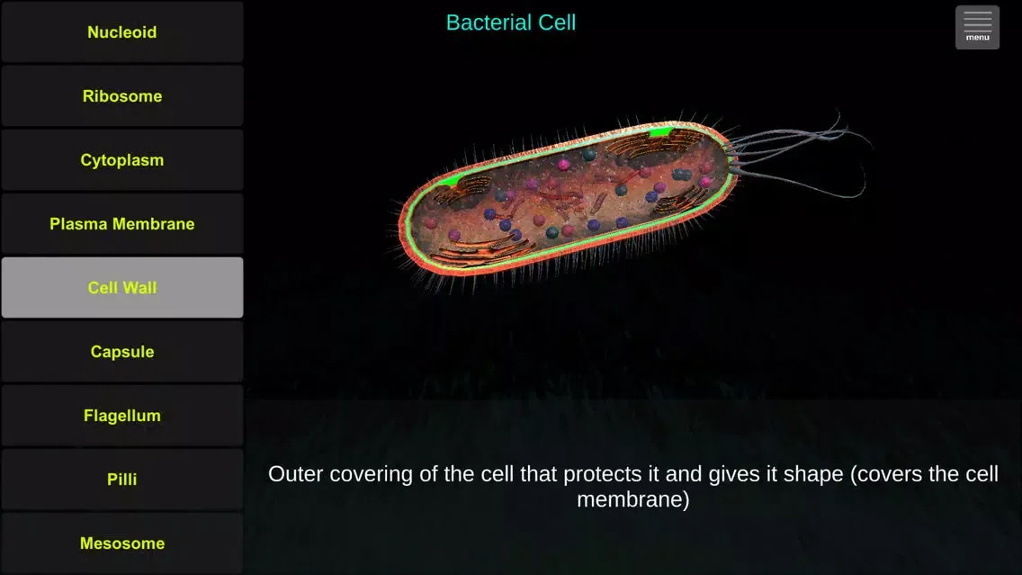 Capturas de tela do Cell Biology Tutor
