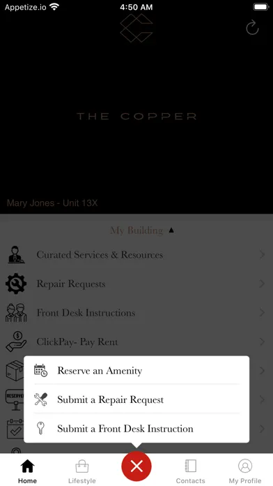 The Copper Screenshots