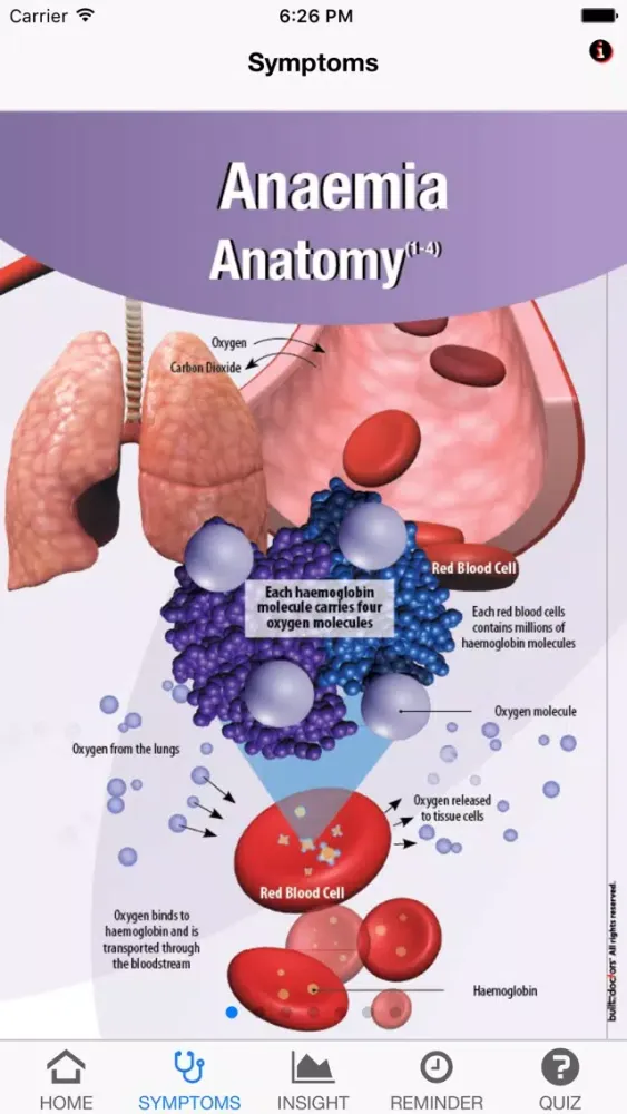 Signs & Symptoms Anaemia Screenshots