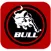 Bull BBQ Recipes