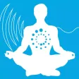 Bulletproof Stress Detective HRV