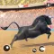 Bull Fighting Game Bull Games