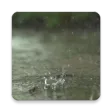 Rain Live Wallpaper