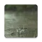 Rain Live Wallpaper