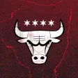 Chicago Bulls