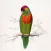 Edward Lear Artworks Stickers