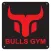 BullsPT & Boxing Studio