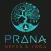 PRANA NEFES VE YOGA