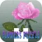 Cordial Flower Girl Puzzle Games