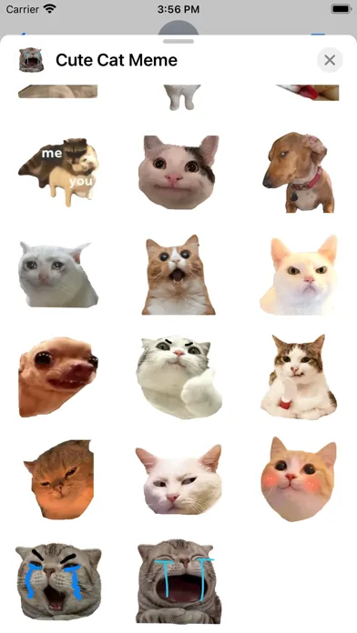 Captures d'écran de Cute Cat Meme
