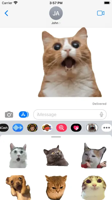 Captures d'écran de Cute Cat Meme