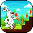 Bunny Run