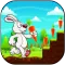 Bunny Run