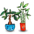 Plant Buddies Plant Buddies